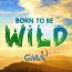Born To Be Wild May 18 2025